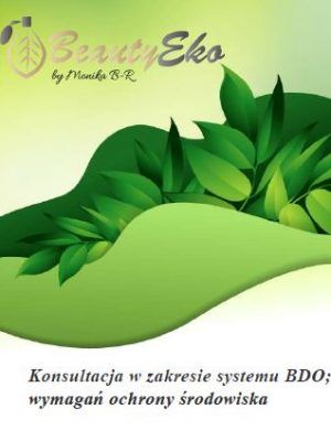 Konsultacja w zakresie systemu BDO/wymagań ochrony środowiska